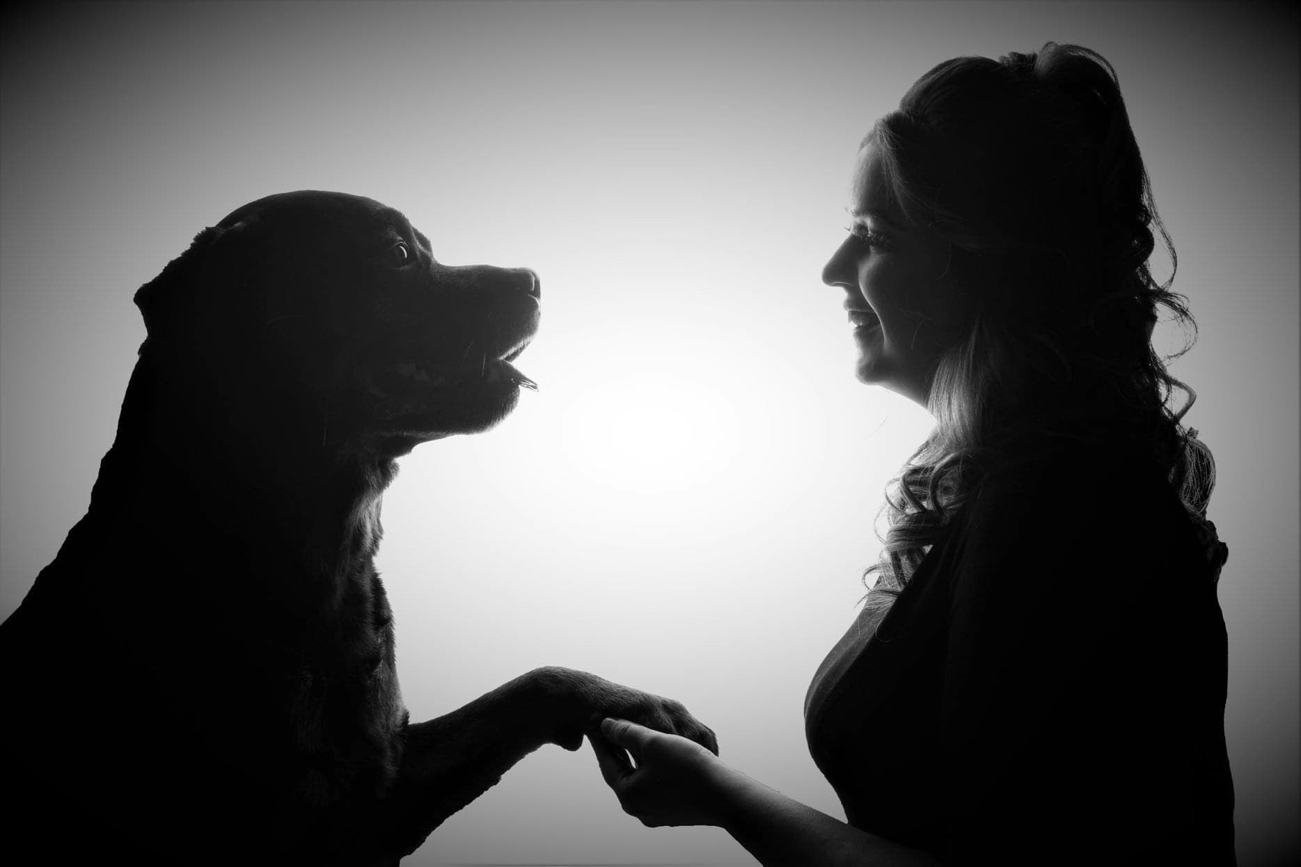 Dr. Shareen Akhtar with a dog during a home euthanasia visit